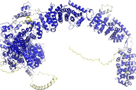 "AlphaFold 3" sagt Struktur aller Moleküle des Lebens voraus